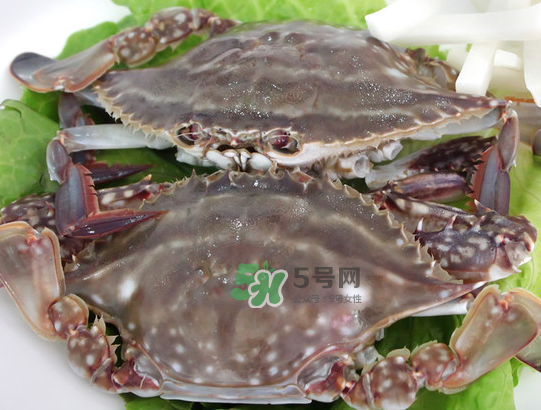梭子蟹為什么這么貴？梭子蟹和大閘蟹哪個(gè)貴？