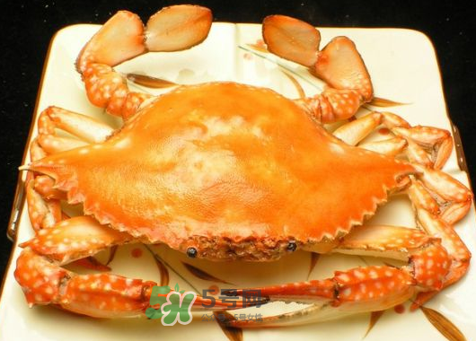 飛蟹什么時(shí)候最肥？飛蟹幾月份最肥？