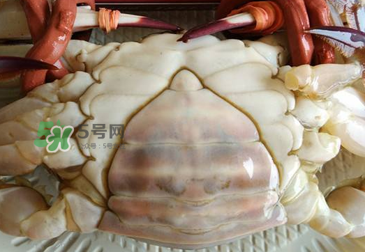 飛蟹多少錢一斤？飛蟹多少錢一斤2017？