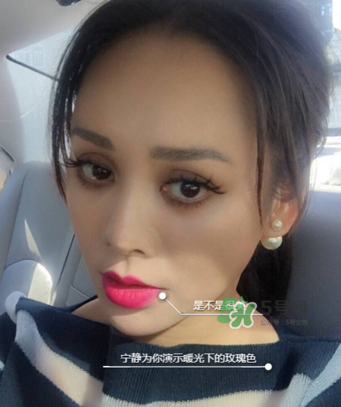 ysl208是什么顏色？ysl208適合黃皮嗎？