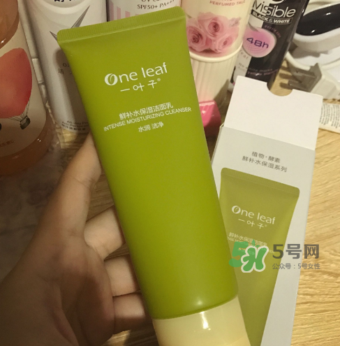 一葉子鮮補水洗面奶怎么樣？一葉子鮮補水潔面乳好用嗎？