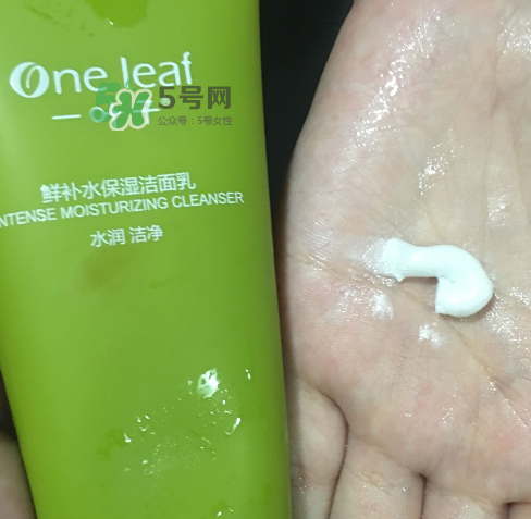 一葉子鮮補水洗面奶怎么樣？一葉子鮮補水潔面乳好用嗎？