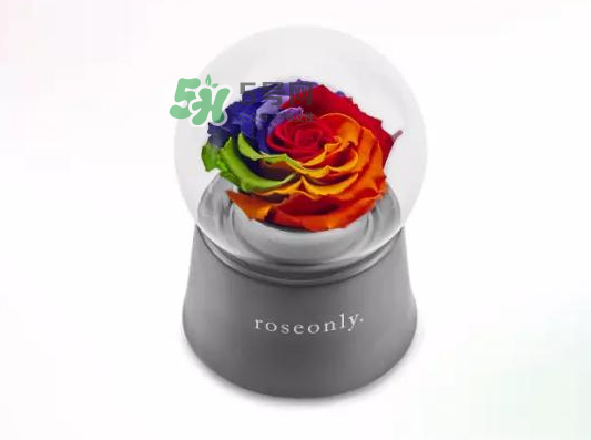 roseonly音樂(lè)盒多少錢(qián)？roseonly音樂(lè)盒歌曲名