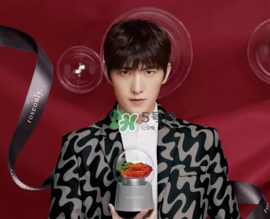 roseonly音樂(lè)盒多少錢(qián)？roseonly音樂(lè)盒歌曲名