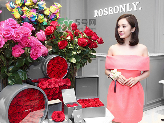 roseonly音樂(lè)盒多少錢(qián)？roseonly音樂(lè)盒歌曲名