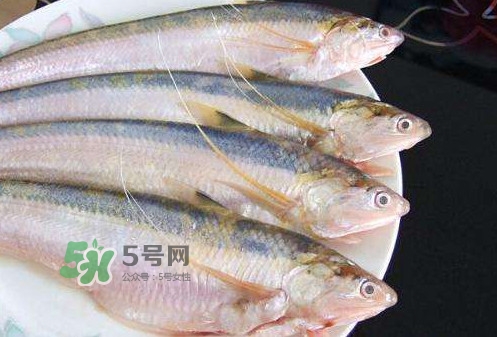 鰣魚刺多嗎？鰣魚可以養(yǎng)殖嗎