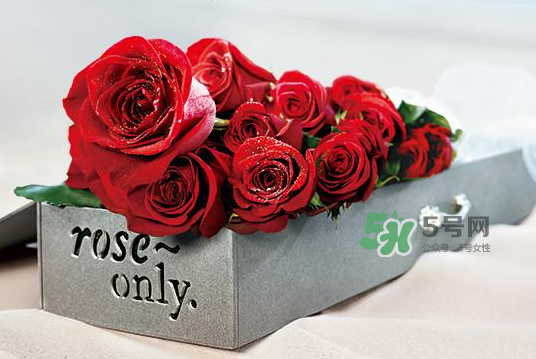 roseonly永生花可以保存多久？roseonly永生花保養(yǎng)