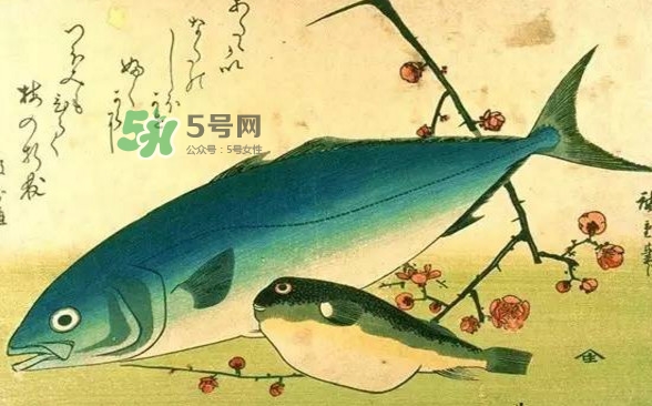 河鲀可以養(yǎng)嗎？河鲀有毒為什么還要吃