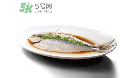 鰣魚還有嗎？長江鰣魚滅絕了嗎