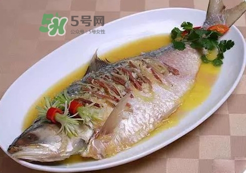 鰣魚怎么讀？鰣魚是什么魚