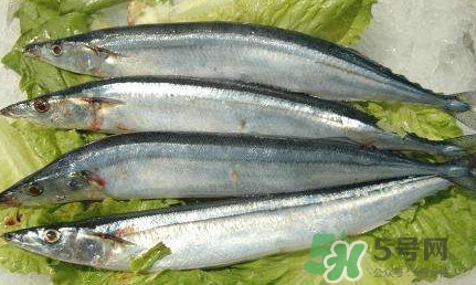 鰣魚和刀魚哪個(gè)貴？長(zhǎng)江三鮮哪個(gè)最貴