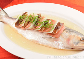 為什么吃清蒸海鰣魚都是半條？鰣魚有什么營養(yǎng)價值