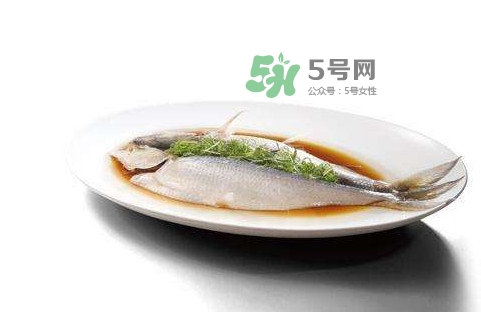 鰣魚刺多嗎？鰣魚可以養(yǎng)殖嗎