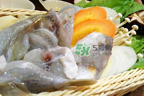 河豚可以當(dāng)寵物養(yǎng)嗎？河豚可以用淡水養(yǎng)嗎