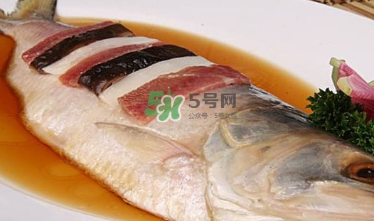 鰣魚(yú)多少錢(qián)一斤？長(zhǎng)江鰣魚(yú)多少錢(qián)一斤2017