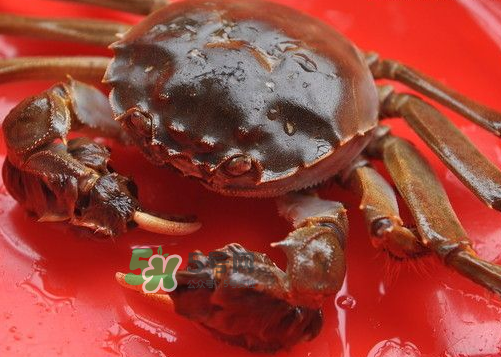 大閘蟹可以帶上高鐵嗎？坐高鐵可以帶大閘蟹嗎？