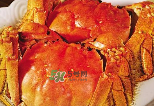 大閘蟹不能和什么一起吃？大閘蟹和什么食物相克？