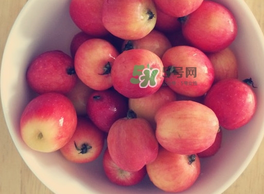 海棠果是涼性的嗎？海棠果是熱性還是涼性