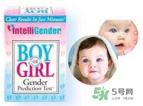 intelligender價格多少？intelligender多少錢？