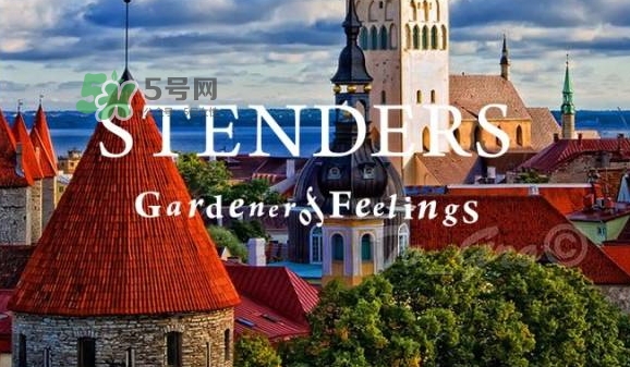 施丹蘭孕婦可以用嗎？stenders施丹蘭懷孕可以用嗎