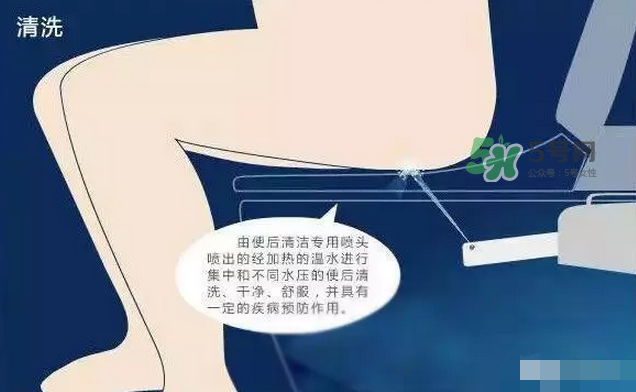 孕期可以蹲著上廁所嗎？孕期上廁所會(huì)壓到寶寶嗎？