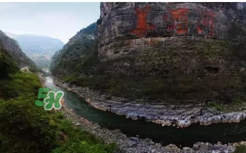 茅臺(tái)酒為什么那么貴？茅臺(tái)酒為什么這么貴