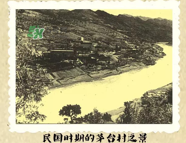 茅臺(tái)酒為什么那么貴？茅臺(tái)酒為什么這么貴