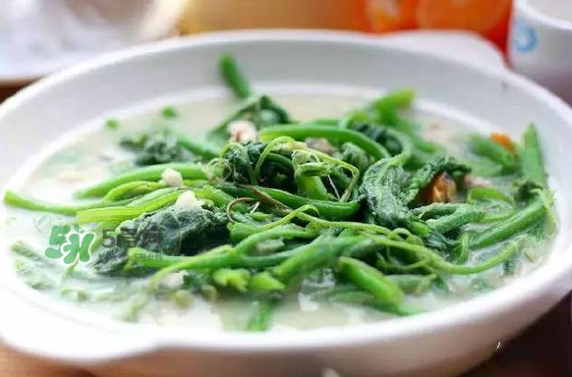 南瓜苗怎么做好吃？南瓜苗怎么撕？