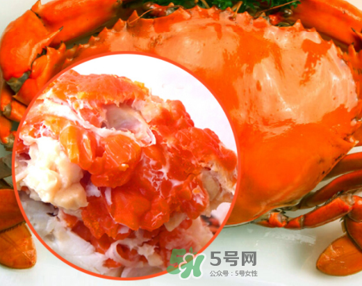 海螃蟹什么時候最肥？海螃蟹什么季節(jié)最好吃？