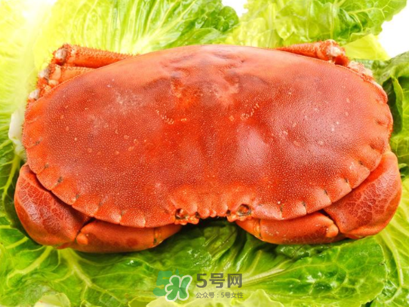 面包蟹和帝王蟹哪個好吃？面包蟹好吃還是帝王蟹好吃？