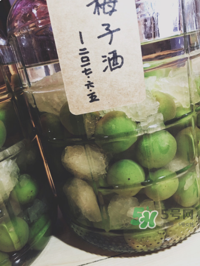 自制青梅酒的做法 青梅酒泡多久可以喝？