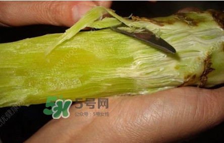青筍怎么處理？青筍怎么切成菱形
