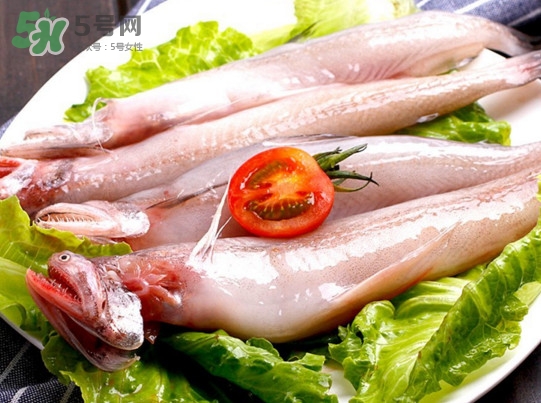 龍頭魚是海魚嗎？龍頭魚是海鮮嗎