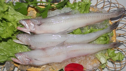 龍頭魚怎么做好吃？龍頭魚干怎么做好吃