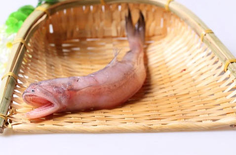 龍頭魚怎么做好吃？龍頭魚干怎么做好吃