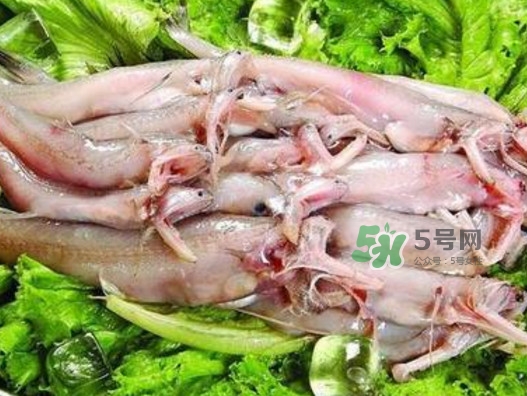 龍頭魚還有別的名嗎？龍頭魚有哪幾種做法