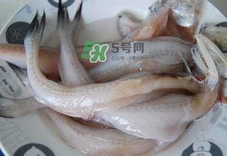 龍頭魚怎么殺？龍頭魚怎么處理？