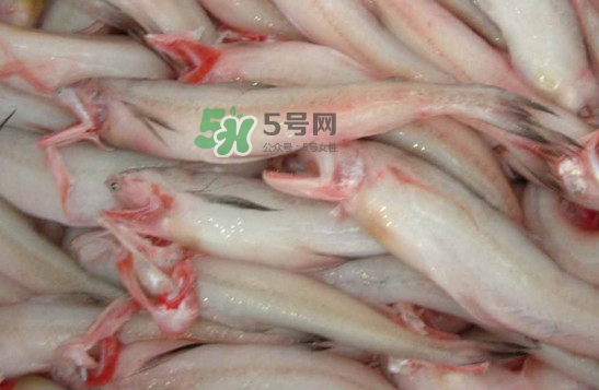龍頭魚怎么炸？龍頭魚怎么做湯