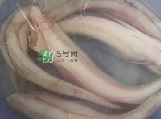 買(mǎi)龍頭魚(yú)怎么挑選？冰凍龍頭魚(yú)怎么去內(nèi)臟