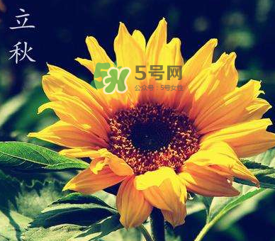 立秋后是不是早晚天氣涼？立秋后天氣有什么變化？