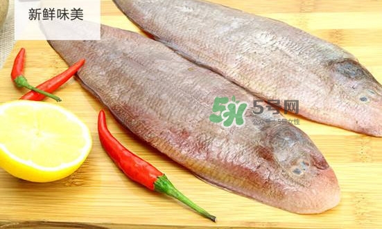 龍利魚多少錢一斤？龍利魚是什么魚