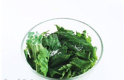南瓜苗怎么做好吃？南瓜苗怎么撕？