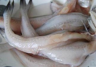 龍頭魚怎么殺？龍頭魚怎么處理？