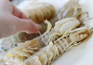 蝦蛄怎么讀？蝦蛄多少錢(qián)一斤