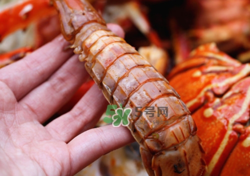 蝦蛄怎么吃？蝦蛄怎么做好吃？