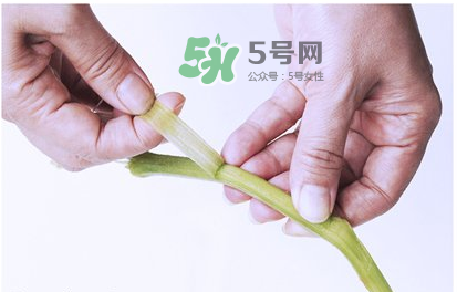 南瓜苗怎么做好吃？南瓜苗怎么撕？