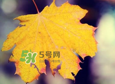 立秋后吃什么好？立秋后怎么養(yǎng)生？