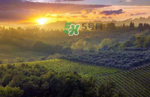 立秋后吃什么好？立秋后怎么養(yǎng)生？