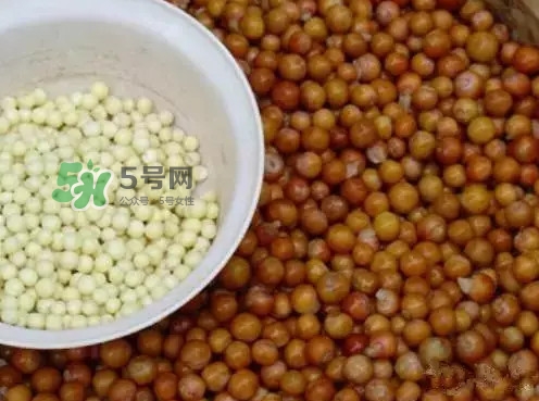 雞頭米怎么吃？雞頭米怎么剝殼好又快
