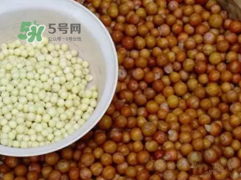 雞頭米有什么營養(yǎng)價(jià)值？雞頭米的功效與作用